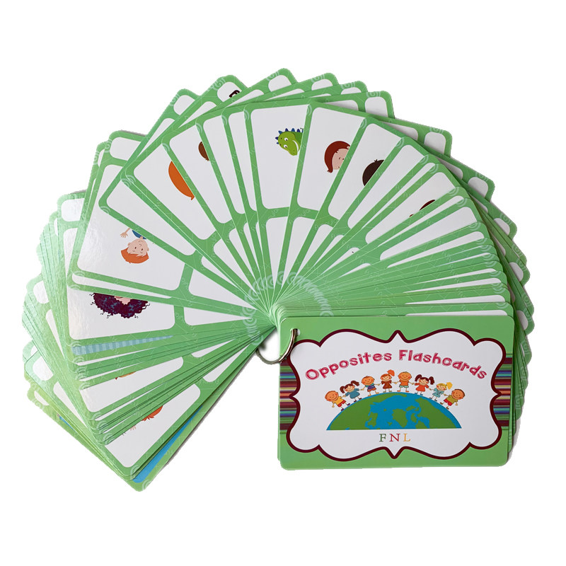 The 100 Groups Opposites Flash - Kids Toys And Games review and price