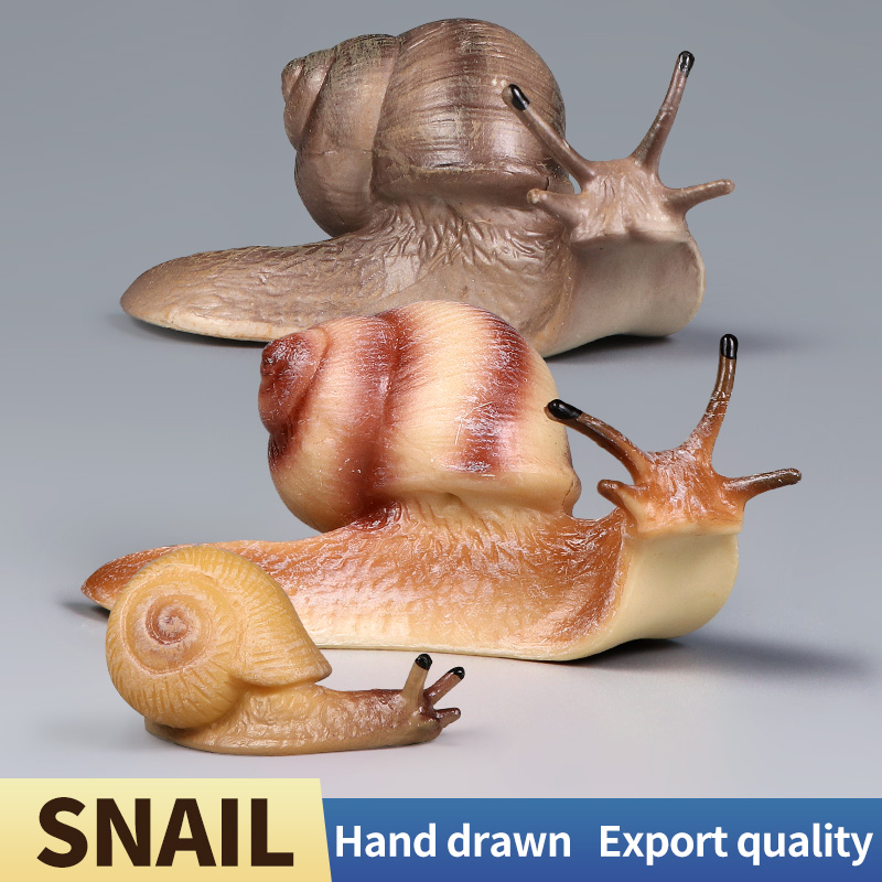 Educational Snail Action Figur - Kids Toys Brand review and price