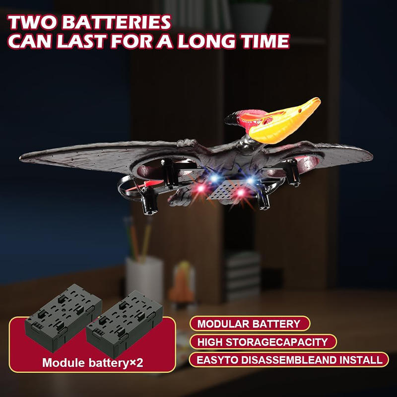 RC Plane Pterosaur 2.4G 6-Axis - Kids Toys Under £5 review and price