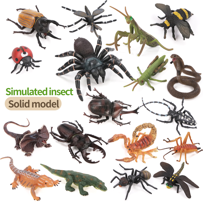Educational Simulation Insect  - Kids Toys Brand review and price